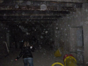 orbs