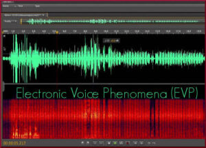 Elaborazione EVP